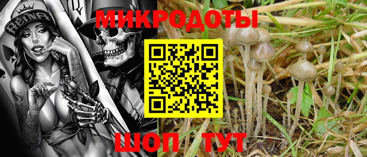Галлюциногенные грибы мицелий Семилуки